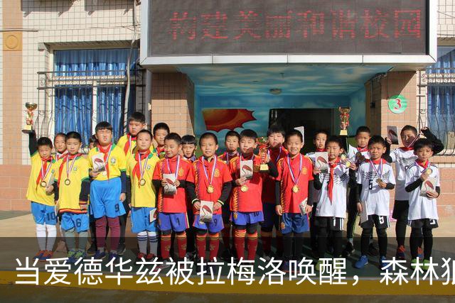 当爱德华兹被拉梅洛唤醒，森林狼把热火打成了火锅